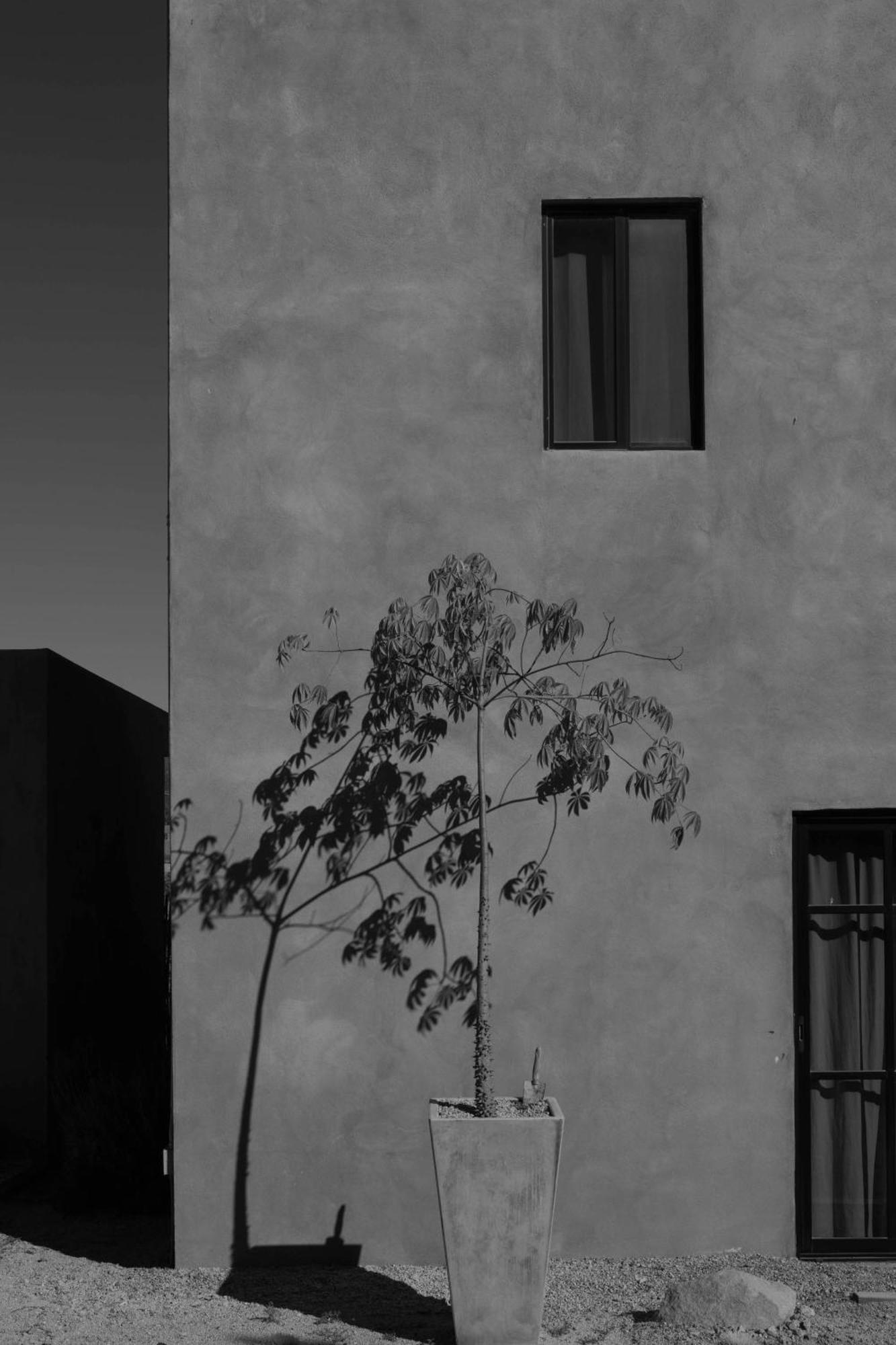 Casa Michaus Valle De Guadalupe Exterior foto